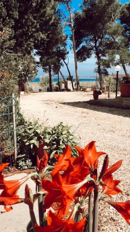 Appartamento I Tramonti Di Cofano Castelluzzo Exterior foto
