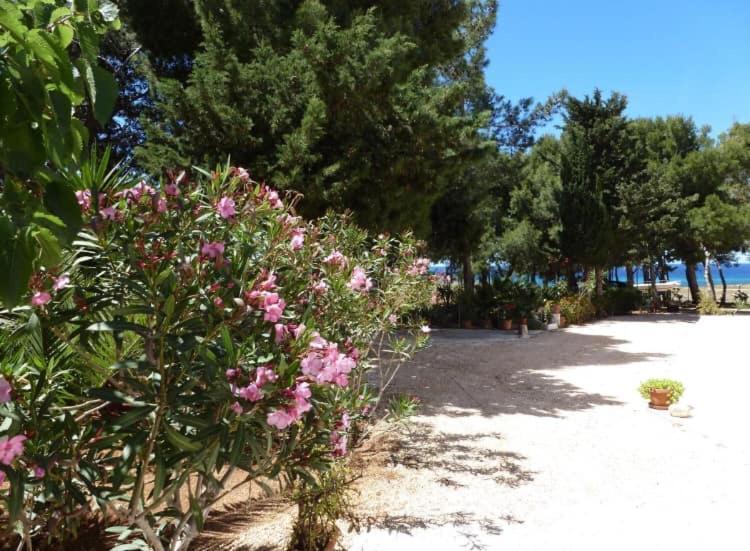 Appartamento I Tramonti Di Cofano Castelluzzo Exterior foto