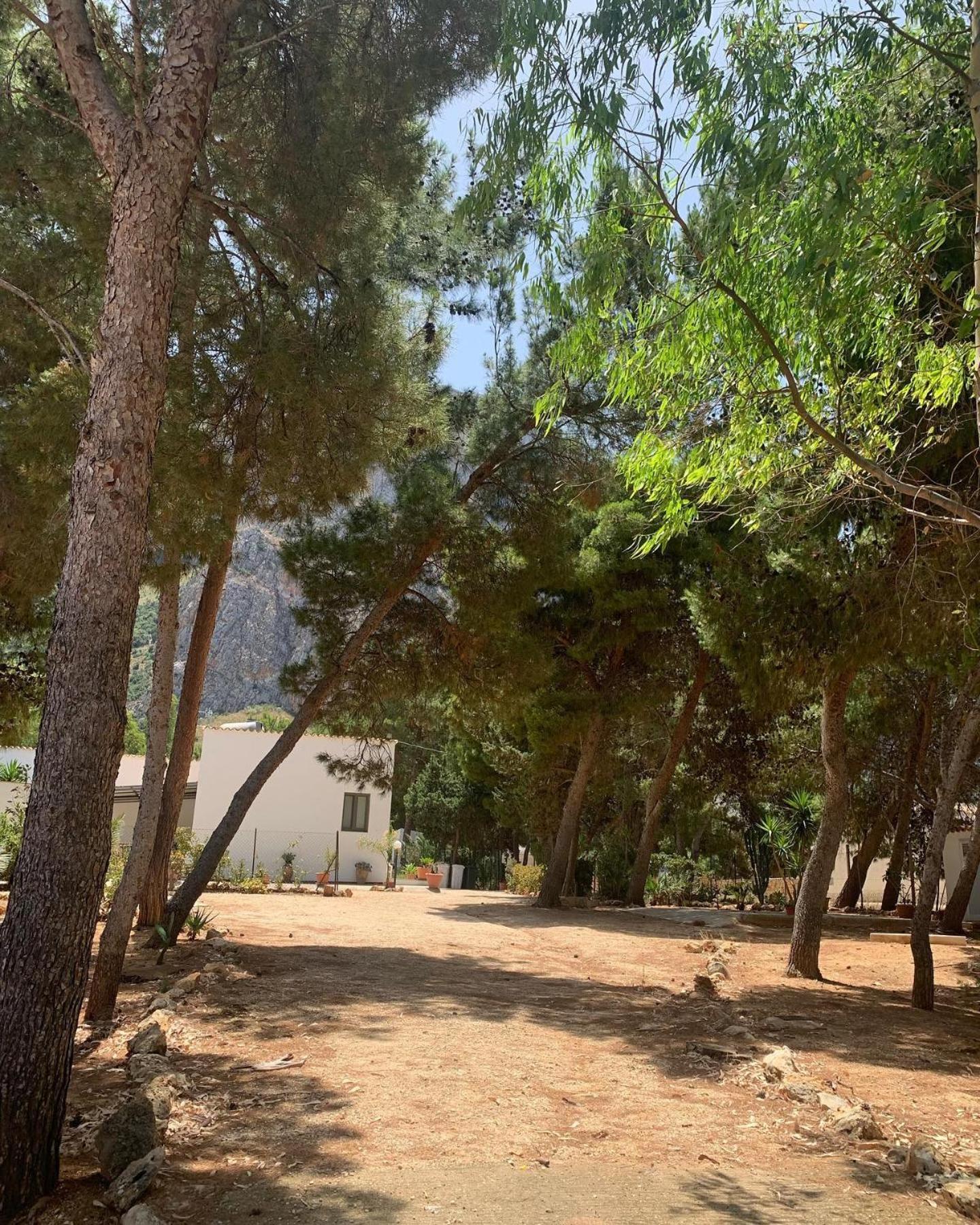 Appartamento I Tramonti Di Cofano Castelluzzo Exterior foto